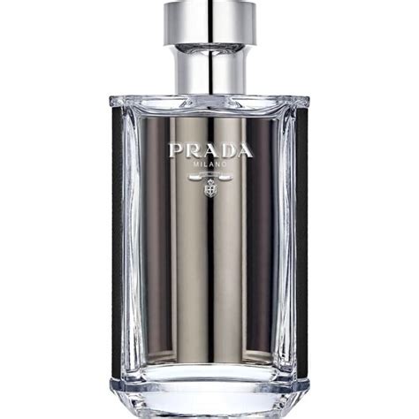 l homme prada review|Prada l'homme house of fraser.